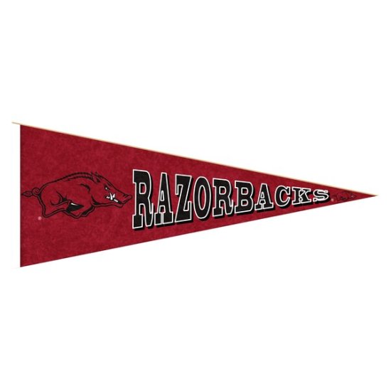 Arkansas RazorХås 24'' å ڥʥ ᡼