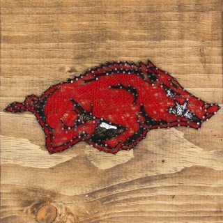 Arkansas RazorХås  ץ饤 ȥ  ե å ͥ