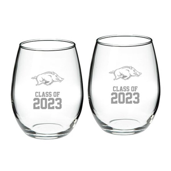 Arkansas RazorХås Class  2023 21(621ml) 2ԡ ᡼