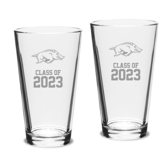 Arkansas RazorХås Class  2023 16(473ml) 2ԡ ᡼