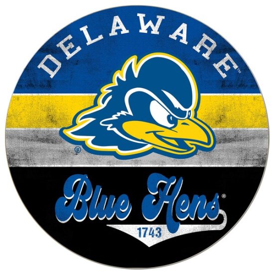 Delaware Fightin' ֥롼 Hens 20'' x 20'' ȥ    ᡼