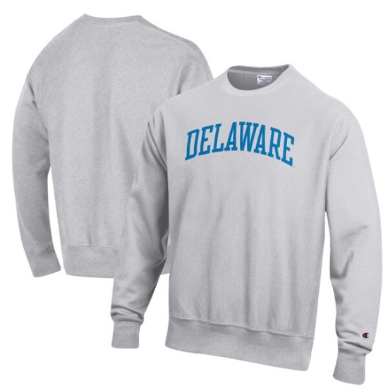 Delaware Fightin' ֥롼 Hens ԥ С Weave ե꡼  ᡼