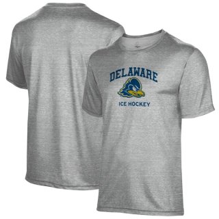 Delaware Fightin' ֥롼 Hens  Hockey ͡ ɥå ԥ ͥ