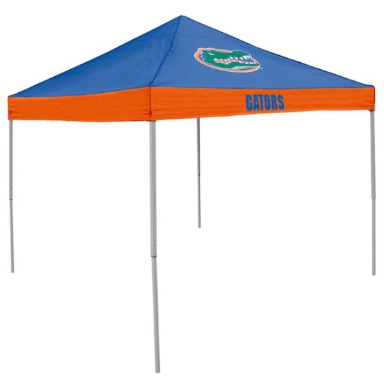 ե 9' x 9' Ecomy ̰opy Tent ᡼