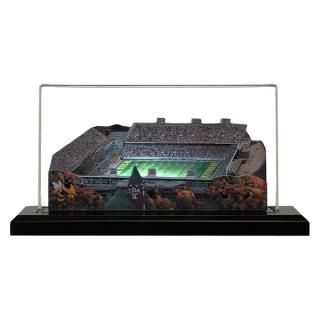 ジョージアテック・イエロージャケッツ 13" x 6" ライト アップ スタジアム with ディス