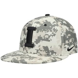 アイオワ・ホークアイズ Nike ベースボール トゥルー パフォーマンス フィットタイプ ハット -