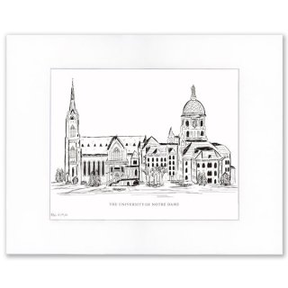 Notre Dame ֥å & ۥ磻  ץ, Basilica & Main B ͥ