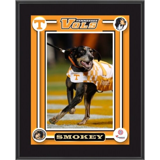 Tennessee Volunteers եʥƥ ƥå 10.5