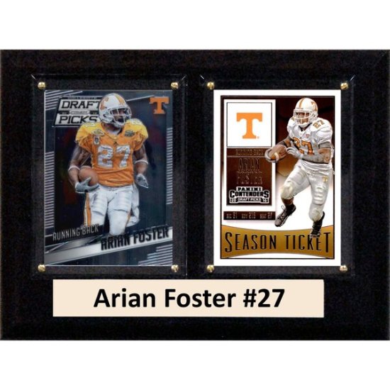 Arian Fo Tennessee Volunteers 6'' x 8'' ץ顼 ᡼