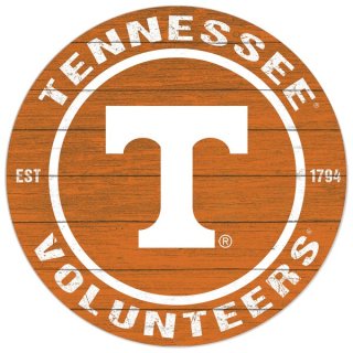 Tennessee Volunteers 20'' x 20'' ɥ/ȥɥ   ͥ