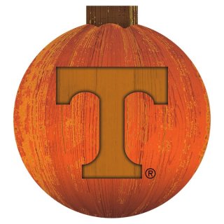 Tennessee Volunteers 12'' Pumѥåin  ͥ