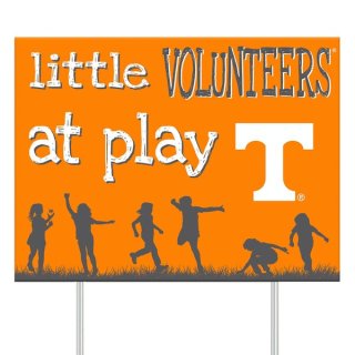 Tennessee Volunteers 24