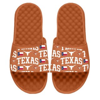 ƥ󥰥ۡ I饤  С 饤  - Texas  ͥ