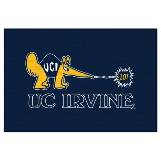 UC Irvine Anteåers 20'' x 30'' Floor ޥå ͥ