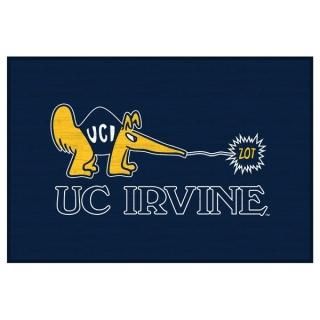 UC Irvine Anteアットers 20'' x 30'' Floor マット