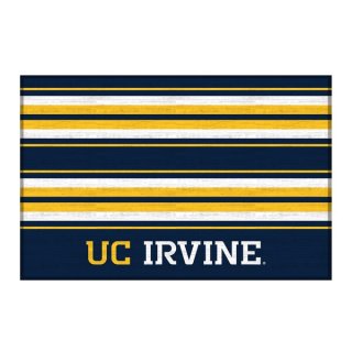 UC Irvine Anteåers 30