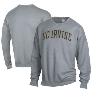 UC Irvine Anteåers ComfortWash Garment Dyed ե꡼ ͥ