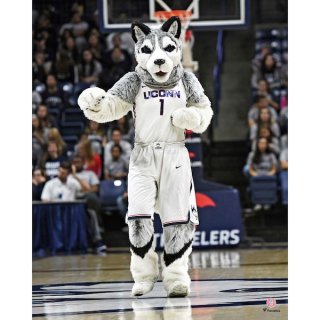 UCn Huskies եʥƥ ƥå Unsigned J󥢥åhan  ͥ