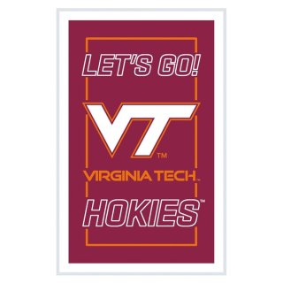 Virginia ƥå Hokies 14