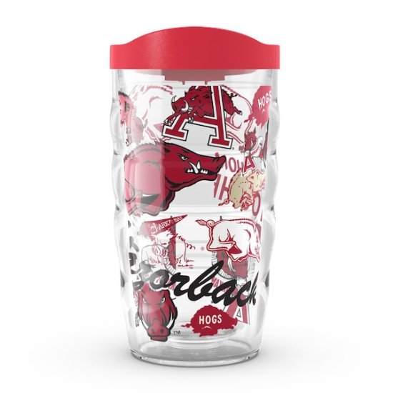 Arkansas RazorХås Tervis 10󥹡295ml 륪С 饷 ᡼