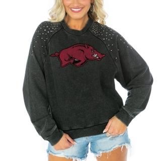 Arkansas RazorХås ǡ Cure ǥ ƥ Stud ͥ