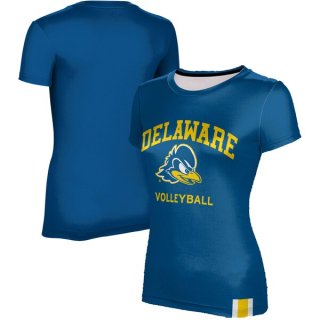 Delaware Fightin' ֥롼 Hens ץSphere ǥ Volleyba ͥ