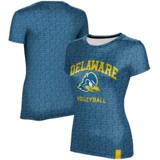 Delaware Fightin' ֥롼 Hens ץSphere ǥ Volleyba ͥ