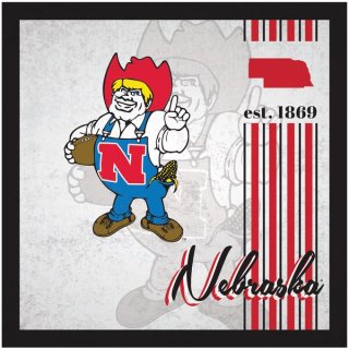 Nebraska Huskers 10