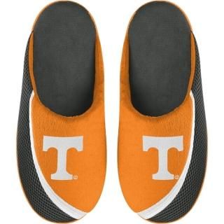 Tennessee Volunteers FOCO 桼 ӥå  顼 å å ͥ