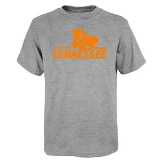 Tennessee Volunteers 桼 Vault  ԥ - إ 졼 ͥ
