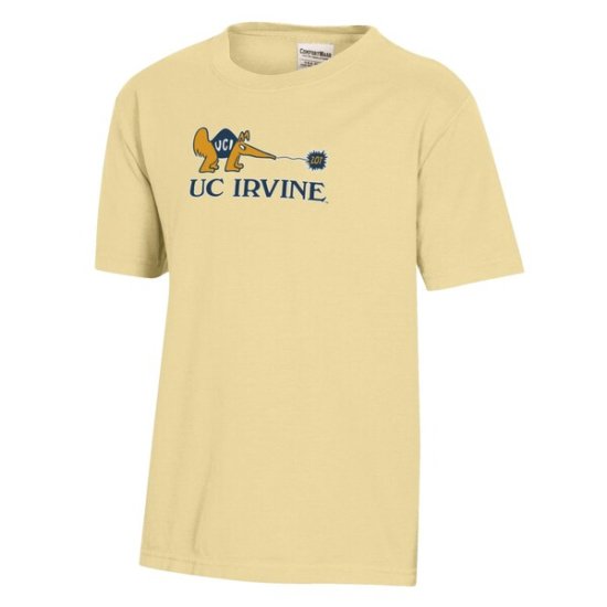 UC Irvine Anteåers 桼  Comfort 顼s ԥ -  ᡼2