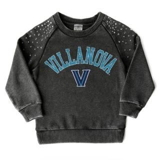 Villanova Wildcås ǡ Cure  桼 D't Bl ͥ
