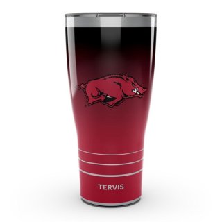 Arkansas RazorХås Tervis 30󥹡887ml Ombre ƥ쥹 ͥ