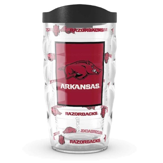 Arkansas RazorХås Tervis 10󥹡295ml С 饷 ᡼