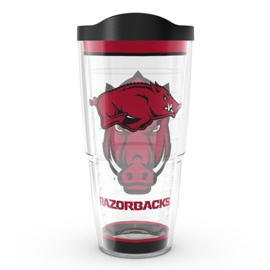 Arkansas RazorХås Tervis 24(709ml) ȥǥ 饷 ᡼