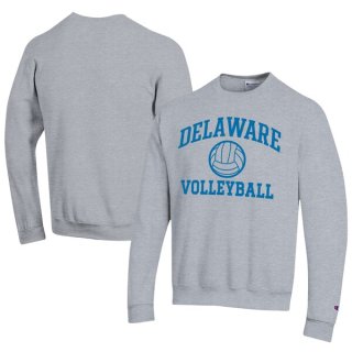 Delaware Fightin' ֥롼 Hens ԥ   Volleyba ͥ