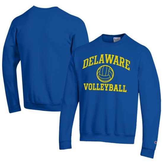 Delaware Fightin' ֥롼 Hens ԥ   Volleyba ᡼