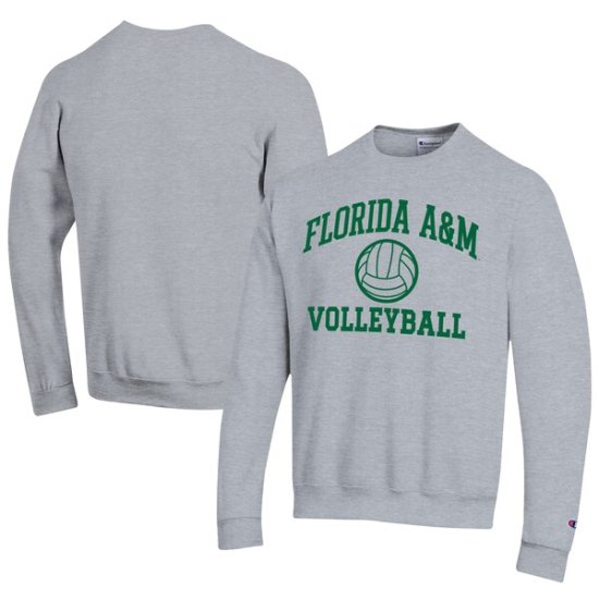 Florida A&M Råtlers ԥ   Volleyball Ec ᡼