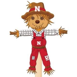 Nebraska Huskers 12