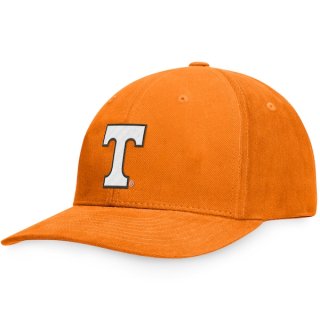 Tennessee Volunteers Scope Ĵǽ ϥå - Tennessee  ͥ
