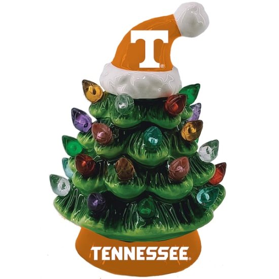 Tennessee Volunteers 8