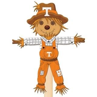 Tennessee Volunteers 12