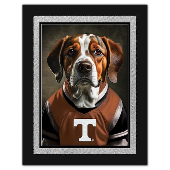 Tennessee Volunteers 12'' x 16'' ե졼 ɥå In 㡼 ᡼