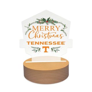 Tennessee Volunteers ۥǥ LED 󥵡 ͥ