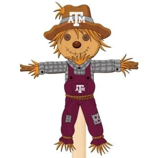 ƥA&M 12