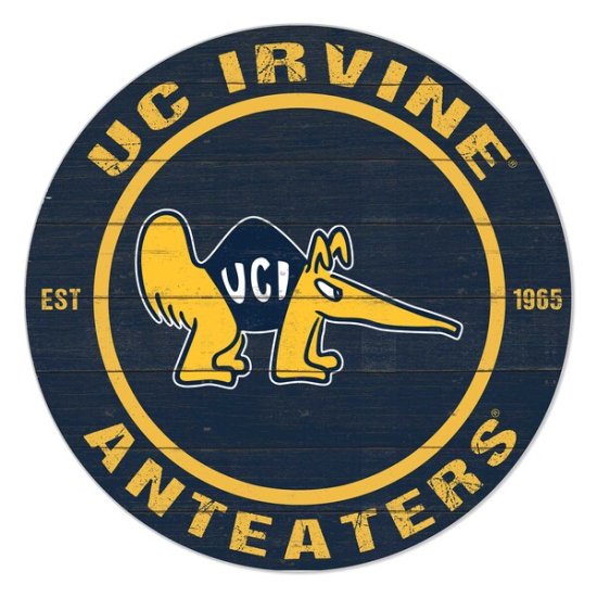 UC Irvine Anteåers 20