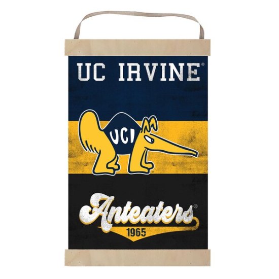 UC Irvine Anteåers ȥ  Хʡ  ᡼
