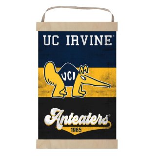 UC Irvine Anteåers ȥ  Хʡ  ͥ