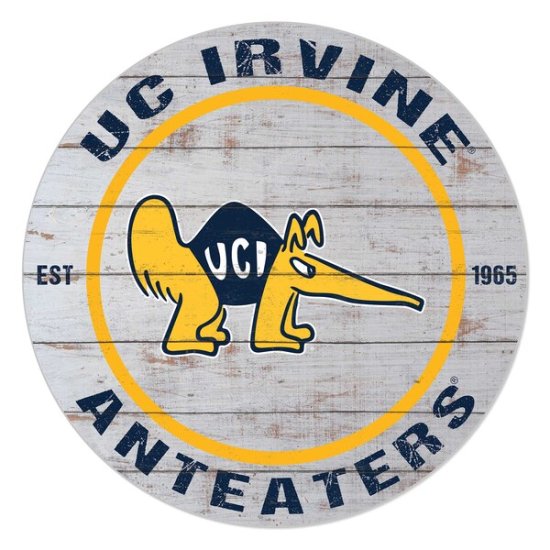 UC Irvine Anteåers 20'' x 20'' ɥ/ȥɥ ơ ᡼