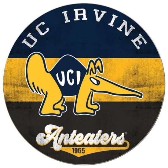 UC Irvine Anteåers 20'' x 20'' ȥ    ᡼
